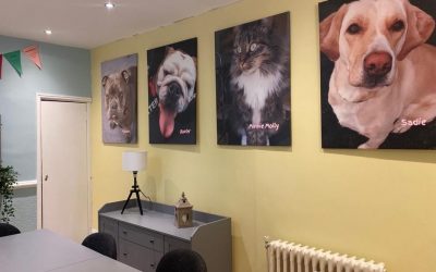 New rooms helps Naomi feel like “real home”